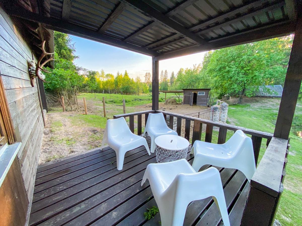 טלסי Private Farm Jakuzzi Sauna In The Forest מראה חיצוני תמונה